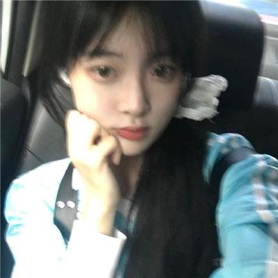 灵犬当家：圣诞节的危险